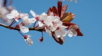 Updates from the Principal  Despite some earlier cooler weather, it looks like spring is finally here. The school has been very busy with classroom and school-wide activities. We finished up […]